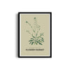 Garden of Fine Art Botanical Modern Wall Art