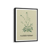 Garden of Fine Art Botanical Modern Wall Art