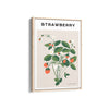 Strawberry Botanical Modern Wall Art