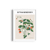 Strawberry Botanical Modern Wall Art