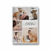 Cutest Pup 5 Image Collage Wall Art - The Mortal Soul
