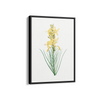 Mock Rosemary Botanical Wall Art - The Mortal Soul