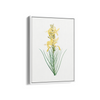 Mock Rosemary Botanical Wall Art - The Mortal Soul