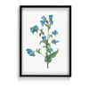 Twisted Thimbleberry Botanical Wall Art