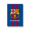 FC Barcelona Premium Wall Art - The Mortal Soul