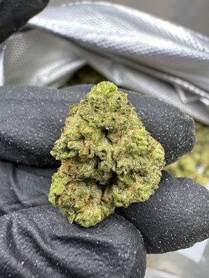 Hash Burger - THCA BULK FLOWER - AA INDOOR SMALLS - Gold Canna