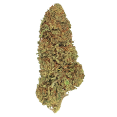 Exploring the Most Popular Strains of Hemp Flower: