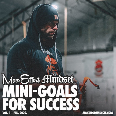 Mini-Goals for Success