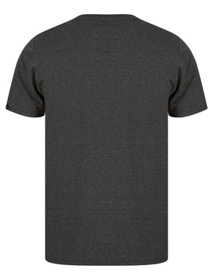 Within Motif Microstripe Cotton Jersey T-Shirt in Dark Grey - triatloandratx
