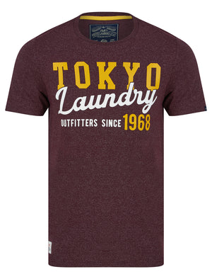 Within Motif Microstripe Cotton Jersey T-Shirt in Wine - triatloandratx