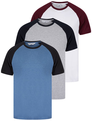 Dunswell (3 Pack) Raglan Sleeve Cotton Jersey Basic T-Shirt Set In Light Grey Marl / White / Dutch Blue - triatloandratx