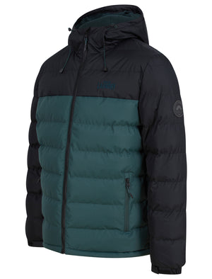 Taichi Micro-Fleece Lined Quilted Puffer Jacket with Hood in Jet Black - triatloandratx