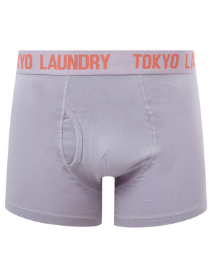 Snowden (2 Pack) Boxer Shorts Set in Wisteria Lilac / Dubarry Coral - triatloandratx