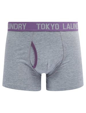 Sadiki (2 Pack) Boxer Shorts Set in Maize Yellow / Grape Jam - triatloandratx