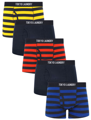 Zavi (5 Pack) Cotton Sports Boxer Shorts Set in Bright Stripe - triatloandratx