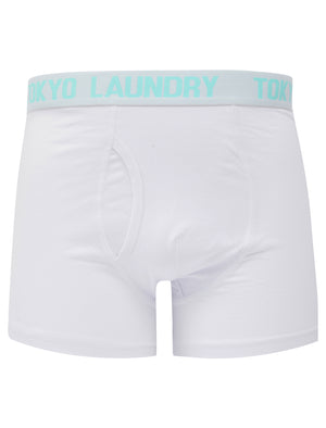 Lammie (2 Pack) Boxer Shorts Set in Blue Tint / White - triatloandratx