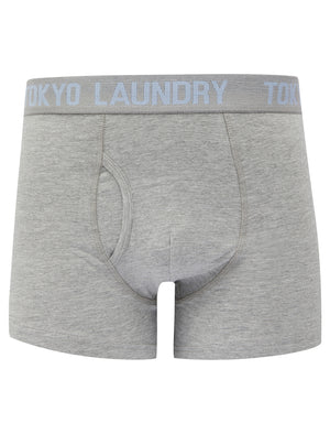 Lammie (2 Pack) Boxer Shorts Set in Light Grey Marl / Kentucky Blue - triatloandratx