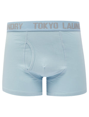 Lammie (2 Pack) Boxer Shorts Set in Light Grey Marl / Kentucky Blue - triatloandratx