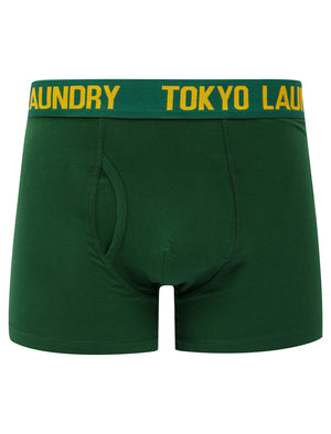 Allyn (2 Pack) Boxer Shorts Set in Artisan's Gold / Dark Green - triatloandratx