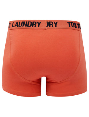 Allyn (2 Pack) Boxer Shorts Set in Sky Captain Navy / Faded Rose - triatloandratx