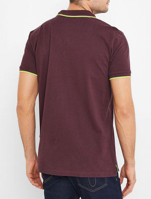 Talibu Cotton Pique Polo Shirt with Neon Tipping In Plum Perfect - triatloandratx