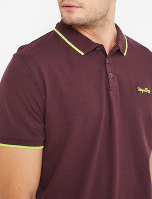 Talibu Cotton Pique Polo Shirt with Neon Tipping In Plum Perfect - triatloandratx