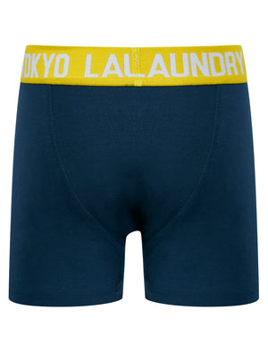 Boys Levens (2 Pack) Boxer Shorts Set in Mood Indigo / Light Grey Marl - triatloandratx Kids