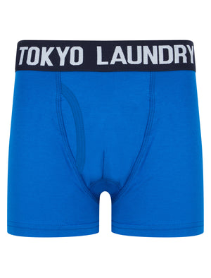 Boys Levens (2 Pack) Boxer Shorts Set in Sky Captain Navy / Jet Blue - triatloandratx Kids