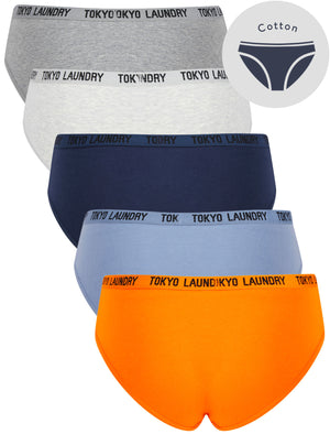 Trudy (5 Pack) Cotton Assorted Briefs in Amberglow / Infinity / Dress Blue / Light Grey Marl / Mid Grey Marl - triatloandratx
