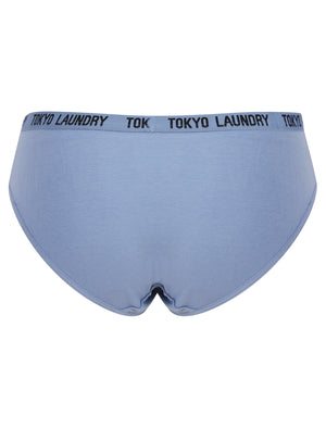 Trudy (5 Pack) Cotton Assorted Briefs in Amberglow / Infinity / Dress Blue / Light Grey Marl / Mid Grey Marl - triatloandratx