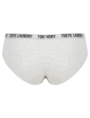 Trudy (5 Pack) Cotton Assorted Briefs in Amberglow / Infinity / Dress Blue / Light Grey Marl / Mid Grey Marl - triatloandratx