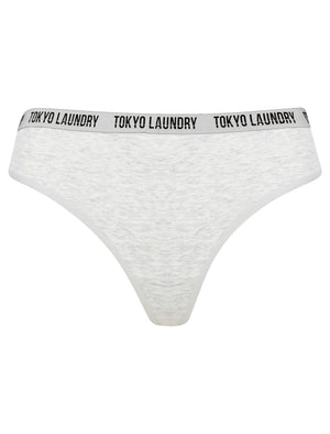 Ivy (5 Pack) Cotton Assorted Thongs in Light Grey Marl / Winsome Orchid / Bright White / Blue Ribbon / Jet Black - triatloandratx