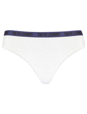 Ivy (5 Pack) Cotton Assorted Thongs in Light Grey Marl / Winsome Orchid / Bright White / Blue Ribbon / Jet Black - triatloandratx