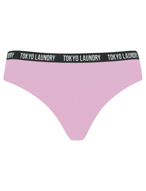 Ivy (5 Pack) Cotton Assorted Thongs in Light Grey Marl / Winsome Orchid / Bright White / Blue Ribbon / Jet Black - triatloandratx