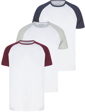 Dunswell (3 Pack) Raglan Sleeve Cotton Jersey Basic T-Shirt Set In Wine / Navy / Grey Marl - triatloandratx