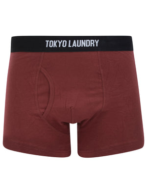 Koman (5 Pack) Cotton Sports Boxer Shorts Set in Autumn - triatloandratx