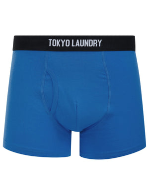 Koman (5 Pack) Cotton Sports Boxer Shorts Set in Blue - triatloandratx