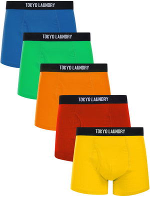 Koman (5 Pack) Cotton Sports Boxer Shorts Set in Bright - triatloandratx