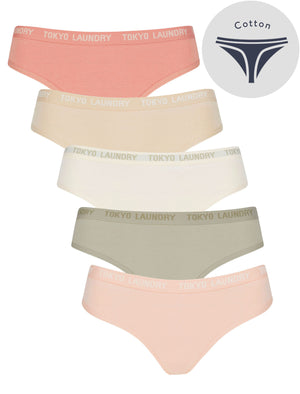 Pampass (5 Pack) Cotton Assorted Thongs in Rose Dawn / Smoke Gray / Pastel Parchmen / Abbey Stone / Rose Smoke - triatloandratx