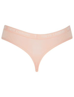 Pampass (5 Pack) Cotton Assorted Thongs in Rose Dawn / Smoke Gray / Pastel Parchmen / Abbey Stone / Rose Smoke - triatloandratx