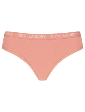 Pampass (5 Pack) Cotton Assorted Thongs in Rose Dawn / Smoke Gray / Pastel Parchmen / Abbey Stone / Rose Smoke - triatloandratx