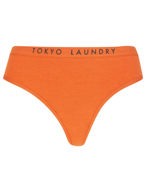 Saint (5 Pack) Cotton Assorted Thongs in Rust / Willow / Dutch Canal / Thunderstorm / Yolk Yellow - triatloandratx