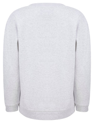 Shardae Motif Cotton Blend Fleece Sweatshirt in Ice Grey Marl -  triatloandratx