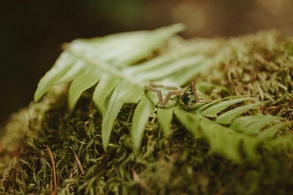 anillo de cometa de ágata de musgo