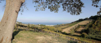 Tenuta Terraviva