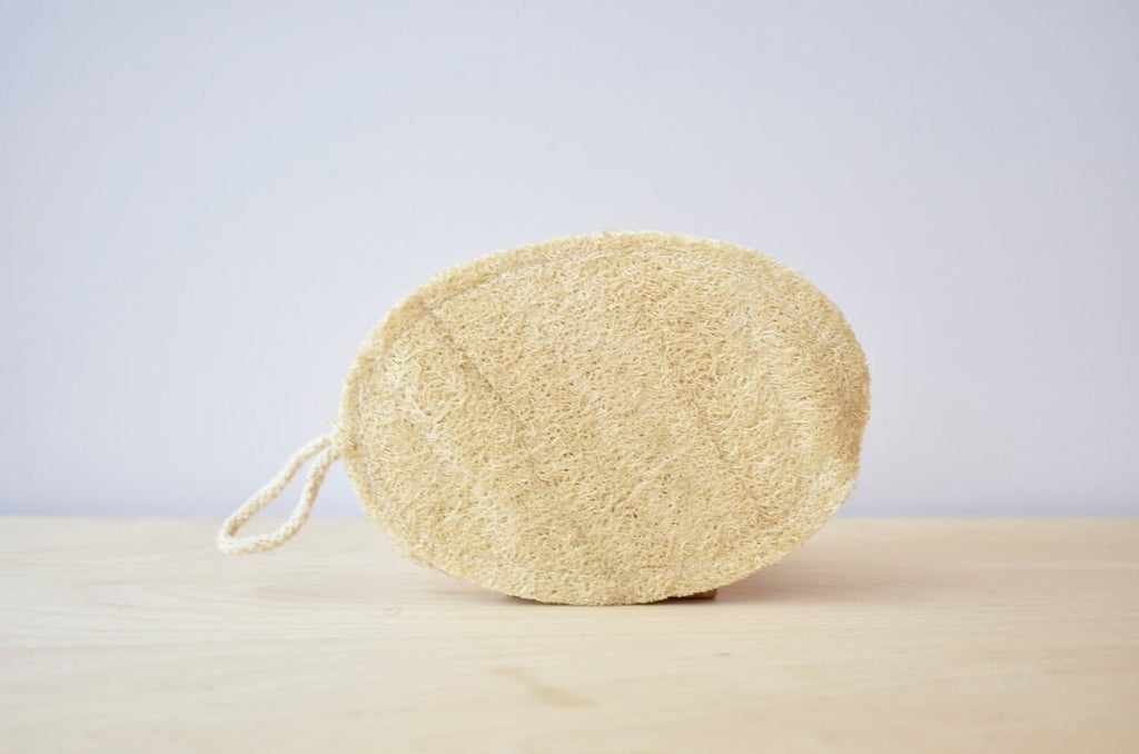 Compostable Eco Dish Sponge 3-Pack - Earth Ahead