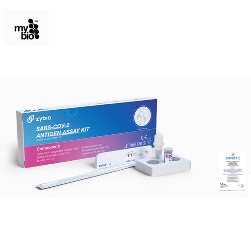 antigen test kit dublin