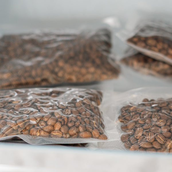 Specialty coffee beans being frozen in a freezer drawer 