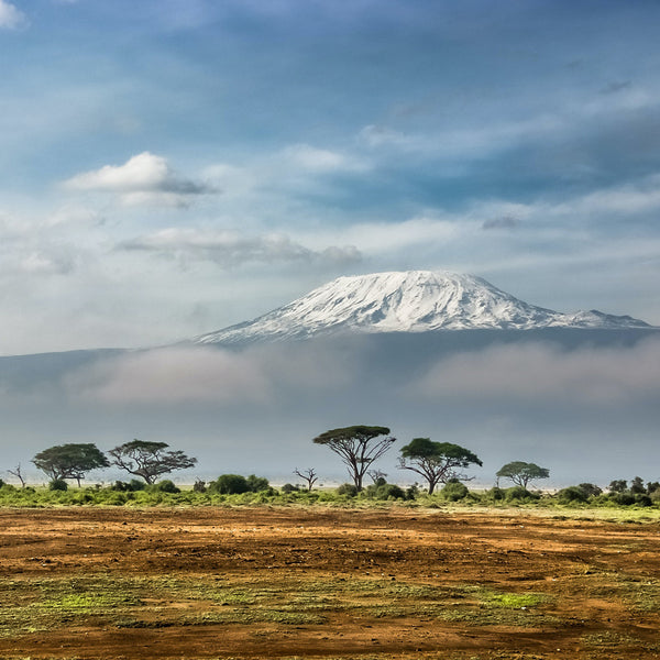 Landscape of Amboseli National Park in Kenya
