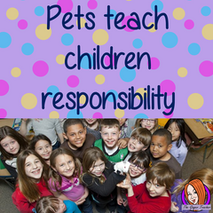Classroom pets are a great way to teach children about responsibility and animal life. #classroompets #pets #classroom #pshe #science #animals